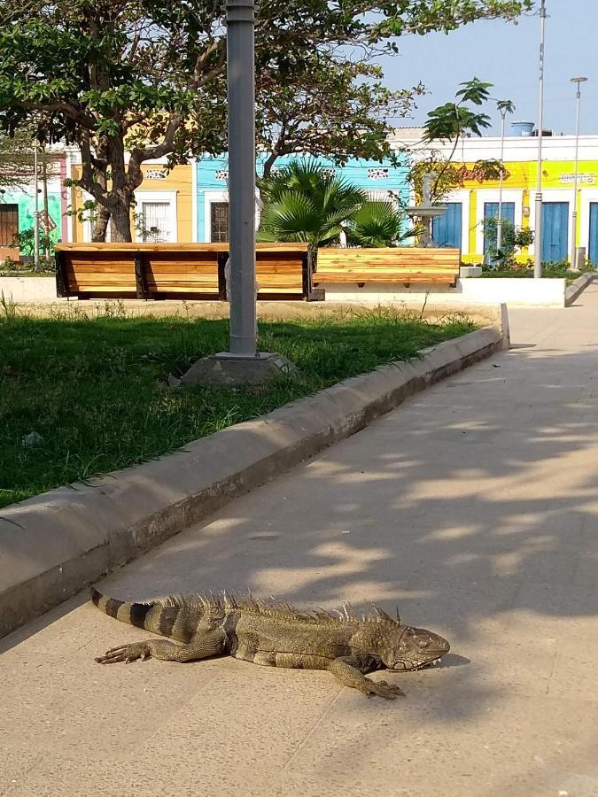 Ciénaga El Habitante Casa Cultural & Hostal מראה חיצוני תמונה