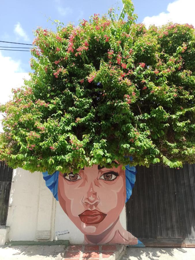 Ciénaga El Habitante Casa Cultural & Hostal מראה חיצוני תמונה